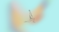Yoga Package (3-sessions)